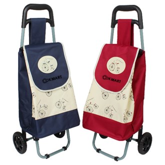 ������ ���� ĳ����