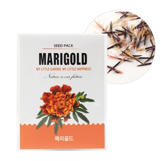 �̴� ������ ���� ����- �޸����