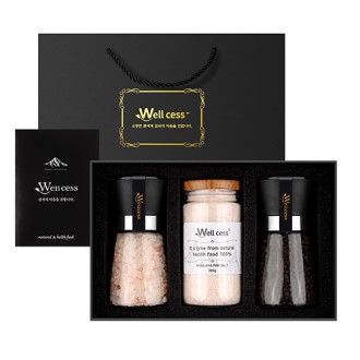 ������ WG-203 ������� ��ũ��Ʈ �������� �׶��δ� ������Ʈ[��ũ��Ʈ �������� 200G, �������� 100G, ��ũ��Ʈ �������� 300G] 